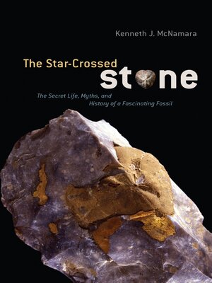 cover image of The Star-Crossed Stone